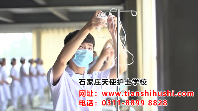 石家庄天使护士学校2025年春季招生怎么报名