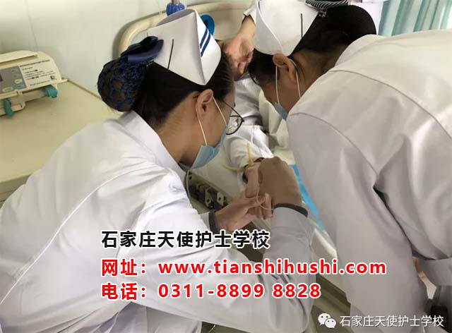 石家庄天使护士学校怎么收费