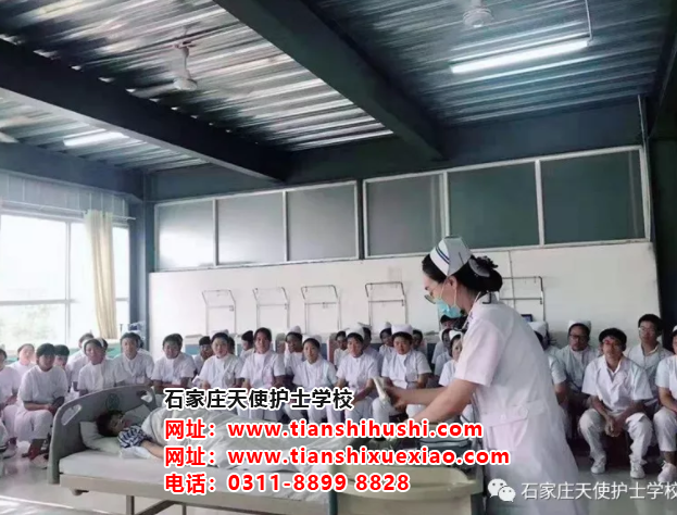 石家庄天使护士学校报名录取条件