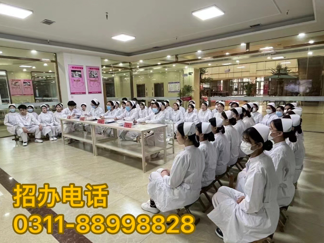 护理专业招生简章 | 石家庄天使护士学校 2024年春季新生报名正式开始