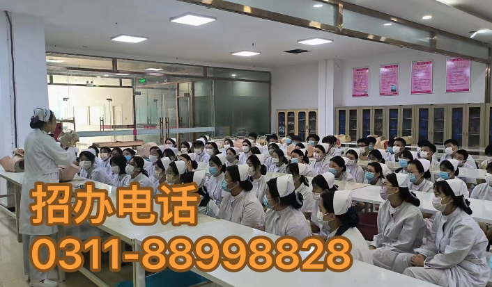 开启护理人生之旅！石家庄天使护士学校2024年春季招生要求解读
