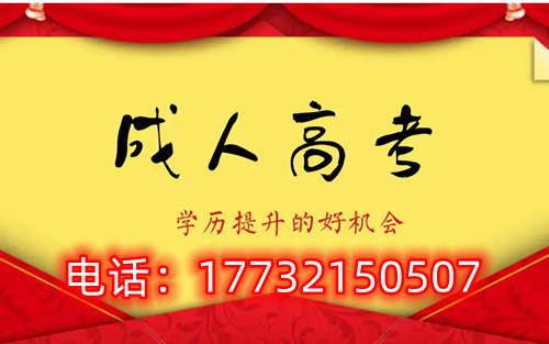 干货！备考必读，成考不踩雷！